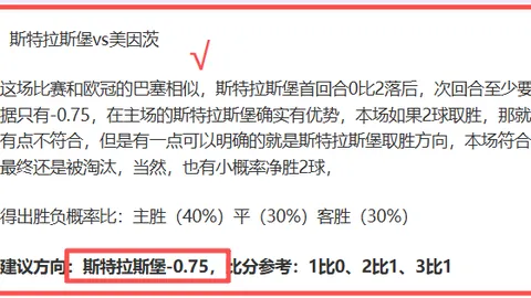 詹姆斯：共享亲子战场，共度欢乐家庭时光。